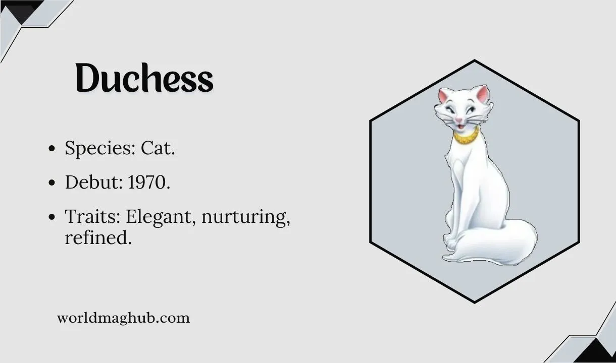 duchess facts